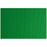 (F42450711) SADIPAL CARTULINA LR 200 TEXTURIZADA 50X70CM VERDE