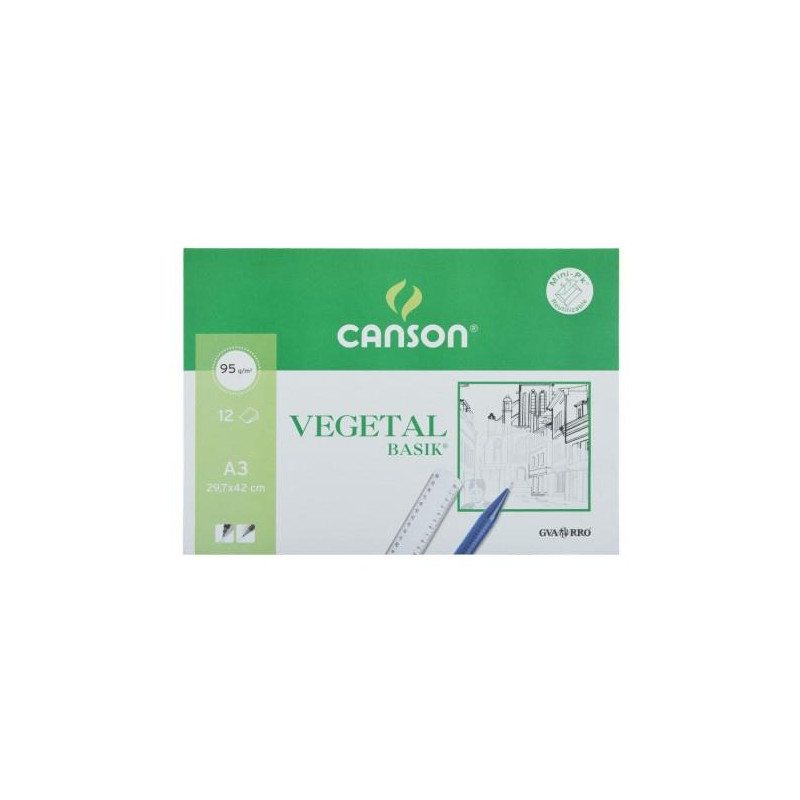 (C200400787) CANSON MINIPACK VEGETAL BASIK 12 HOJAS 29
