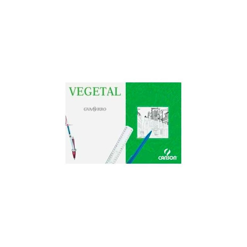 (C200406244) CANSON CAJA DE LÁMINAS VEGETAL BASIK 250 HOJAS 90GR 29