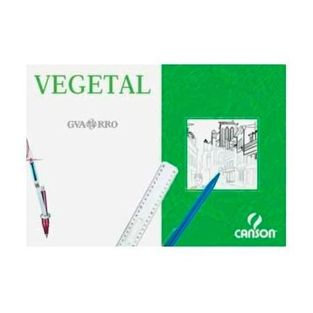 (C200406244) CANSON CAJA DE LÁMINAS VEGETAL BASIK 250 HOJAS 90GR 29