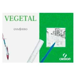 (C200406244) CANSON CAJA DE LÁMINAS VEGETAL BASIK 250 HOJAS 90GR 29,7X42CM