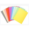 (410000E) EXACOMPTA SUBCARPETAS A4 FOREVER COLORES SURTIDOS 220GR -100U-