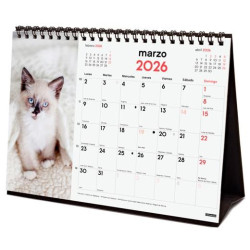 (780323826) FINOCAM CALENDARIO DE SOBREMESA PARA ESCRIBIR S-210X150MM MV IMÁGENES GATITOS 2026