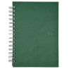 (25002535) DIDEX AGENDA BOSTON ESPIRAL 21DZ 14.5X21CM VERDE 2026