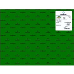 (C400080166) IRIS CARTULINA 50X65CM 185GR VERDE SAFARI -25U-