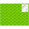 (C200403816) IRIS CARTULINA 50X65CM 250GR VERDE FLUOR -25U-