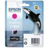 (C13T76034010) EPSON SURECOLOR SC P600 CARTUCHO MAGENTA VIVO