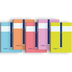 (NSFB4) ERIGGAN CUADERNO ESPIRAL 80H FOLIO 70GR 4X4MM TAPA CARTONCILLO C/SURTIDOS