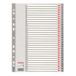(100108) ESSELTE ÍNDICE NUMÉRICO MULTITALADRO 1-31 POLIPROPILENO A4 GRIS CON CARÁTULA ÍNDICE CARTÓN COLOR