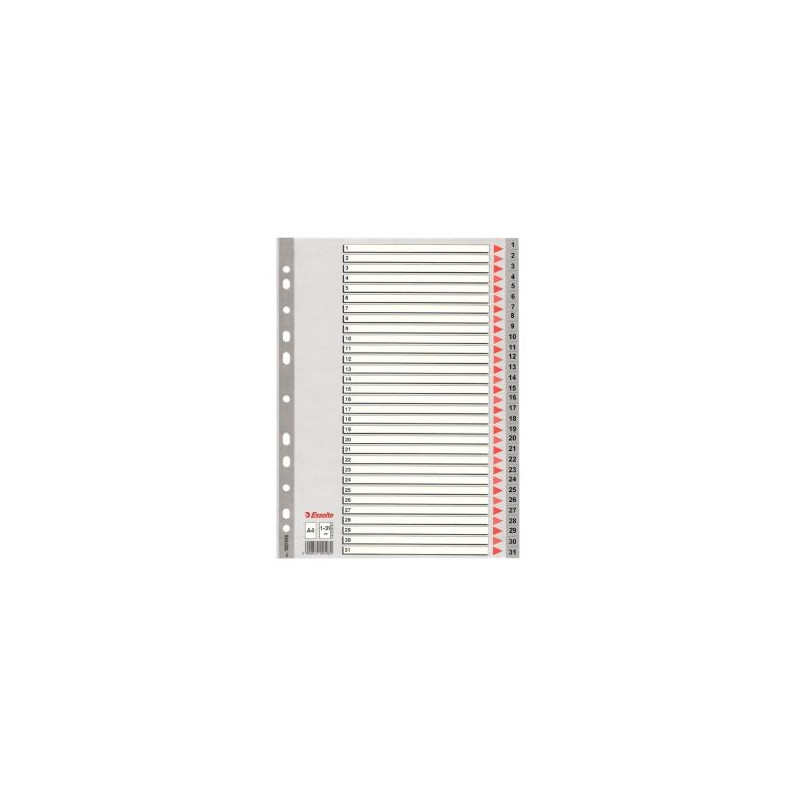 (100108) ESSELTE ÍNDICE NUMÉRICO MULTITALADRO 1-31 POLIPROPILENO A4 GRIS CON CARÁTULA ÍNDICE CARTÓN COLOR