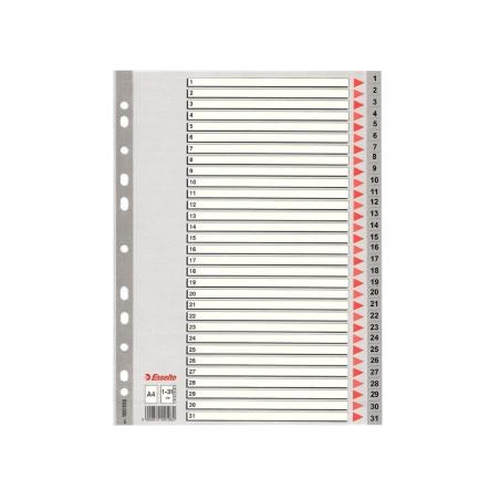 (100108) ESSELTE ÍNDICE NUMÉRICO MULTITALADRO 1-31 POLIPROPILENO A4 GRIS CON CARÁTULA ÍNDICE CARTÓN COLOR