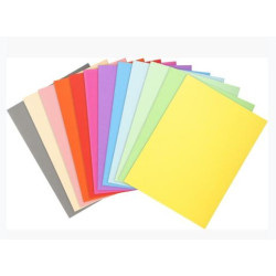 (410000E) EXACOMPTA SUBCARPETAS A4 FOREVER COLORES SURTIDOS 220GR -100U-