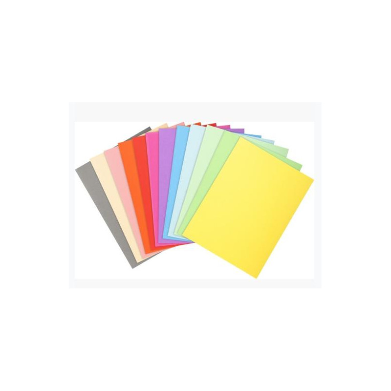 (410000E) EXACOMPTA SUBCARPETAS A4 FOREVER COLORES SURTIDOS 220GR -100U-