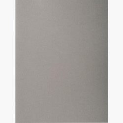 (410009E) EXACOMPTA SUBCARPETAS A4 FOREVER COLOR GRIS 220GR -100U-
