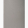 (410009E) EXACOMPTA SUBCARPETAS A4 FOREVER COLOR GRIS 220GR -100U-