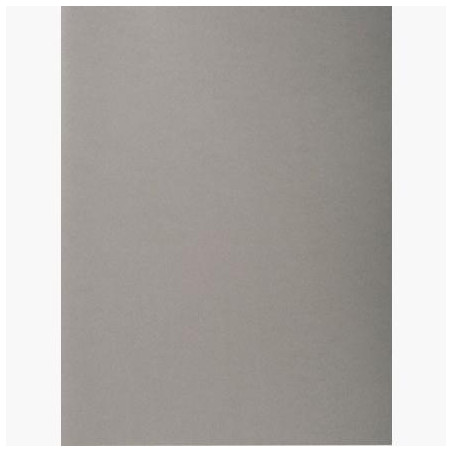 (410009E) EXACOMPTA SUBCARPETAS A4 FOREVER COLOR GRIS 220GR -100U-