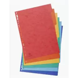 (1406E) EXACOMPTA SEPARADORES NATURE FUTURE CARTULINA LUSTRADA 225GR 6 POSICIONES A4 COLORES