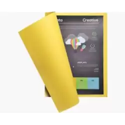 (210011E) EXACOMPTA SUBCARPETA ROCK S COLOR AMARILLO 210GR -100U-