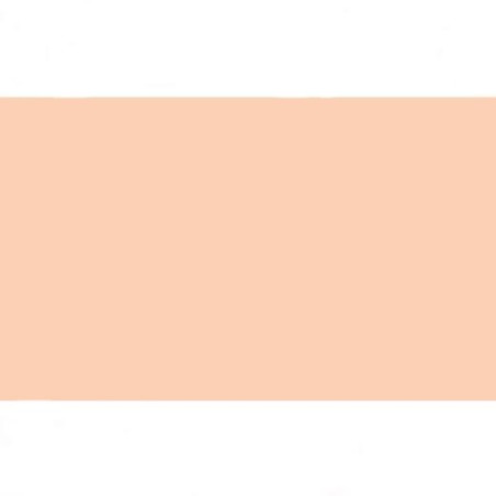 (572EB00) FAMA GOMA EVA 50X70CM GROSOR 2MM EB00 PIEL PACK 10 UD