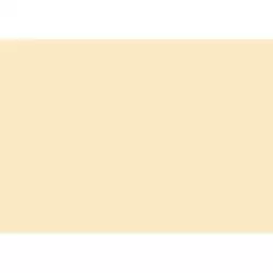 (C32127S013) IRIS CARTULINA 297X420MM 185GR CÁSCARA HUEVO -50U-