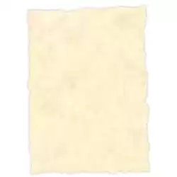 (2604229) MICHEL PERGAMINO TROQUELADO 150GR A4 PACK 25U TOPACIO