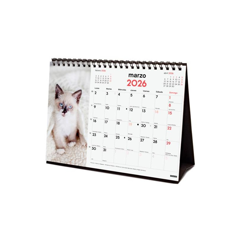 (780323826) FINOCAM CALENDARIO DE SOBREMESA PARA ESCRIBIR S-210X150MM MV IMÁGENES GATITOS 2026