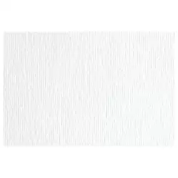 (F42450700) SADIPAL CARTULINA LR 220 TEXTURIZADA 50X70CM BLANCO