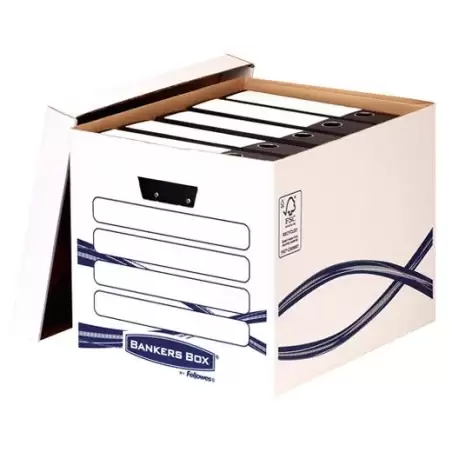 (4461001) FELLOWES MAXI CONTENEDOR DE ARCHIVO A4 BASIC CARTÓN RECICLADO PACK 10 UD