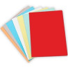 (400040551) GIO SUBCARPETA SIMPLE CARTULINA A4 180GR ROJO PASTEL -PACK DE 50U-