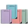 (P232) ADDITIO CUADERNO DE TODAS LAS CLASES PARA EL PROFESORADO D/P ESPIRAL DOBLE 256 PÁGINAS PVC C/SURTIDOS