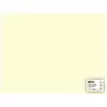 (14255) APLI CARTULINA 50X65CM 170GR PACK DE 25H MARFIL
