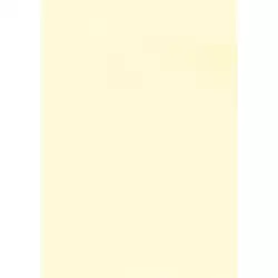 (12235) APLI PAPEL TEXTURA VERJURADO CREMA 220 GR. TAMAÑO A4 - 20 HOJAS -