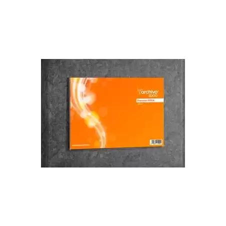 (6156A CS TP) ARCHIVO 2000 EXPOSITOR MURAL ARCHIVO 2000 "PREMIUM" CON ADHESIVO DIN A4 HORIZONTAL ESPESOR 3 MM 300X210 MM