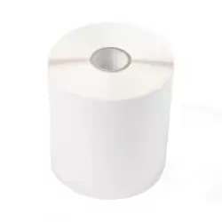 (BUS1J074102121) BROTHER ETIQUETAS DE TRANSFERENCIA TÉRMICA PRECORTADAS ACABADO MATE 102X74MM  (1.100 ETIQUETAS/ROLLO) - CAJA...