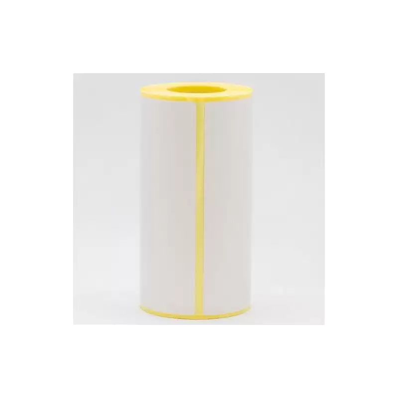 (LDP1M152102058I) BROTHER ETIQUETA TÉRMICA PROTEGIDA 102X152MM (80 ETIQUETAS/ROLLO) - CAJA 12 ROLLOS