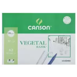 (C200400787) CANSON MINIPACK VEGETAL BASIK 12 HOJAS 29