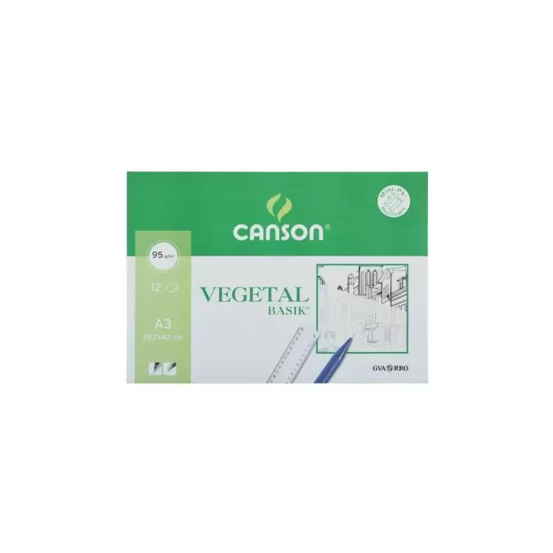 (C200400787) CANSON MINIPACK VEGETAL BASIK 12 HOJAS 29