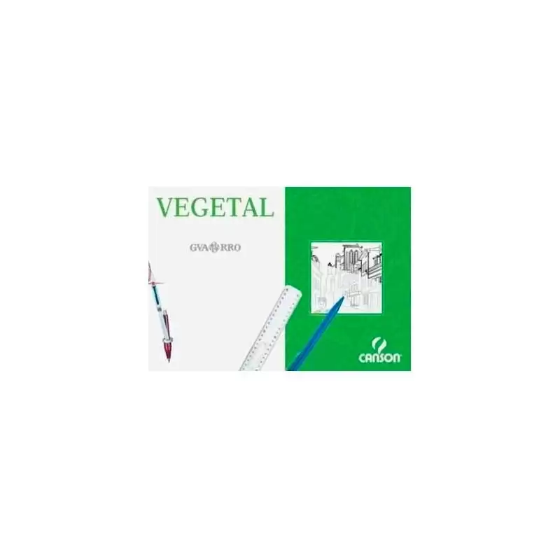(C200406244) CANSON CAJA DE LÁMINAS VEGETAL BASIK 250 HOJAS 90GR 29
