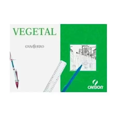 (C200406244) CANSON CAJA DE LÁMINAS VEGETAL BASIK 250 HOJAS 90GR 29
