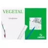 (C200406244) CANSON CAJA DE LÁMINAS VEGETAL BASIK 250 HOJAS 90GR 29