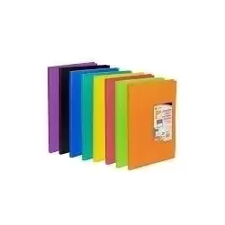 (50313054) CARCHIVO CARPETA CARCHIPLÁS-BOOK DE POLIPROPILENO TRASLÚCIDOS CON 30 FUNDAS SOLDADAS FOLIO VERDE