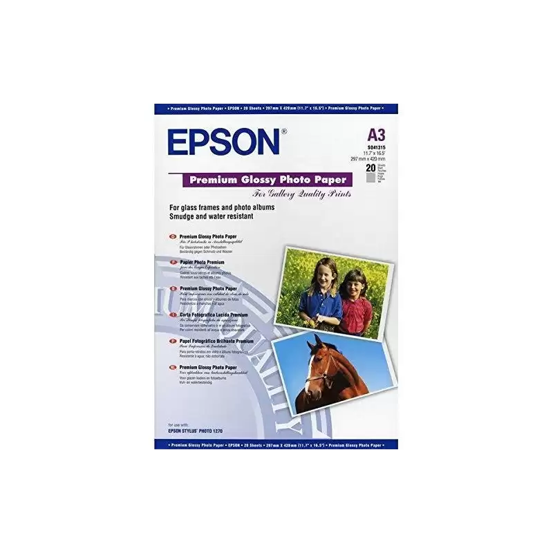 (C13S041315) EPSON PAPEL PREMIUM GLOSSY PHOTO 255G