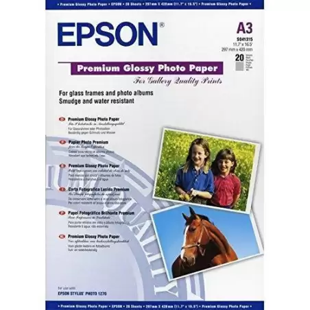 (C13S041315) EPSON PAPEL PREMIUM GLOSSY PHOTO 255G
