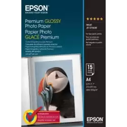 (C13S042155) EPSON PAPEL PREMIUM GLOSSY PHOTO 255 GR