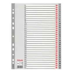 (100108) ESSELTE ÍNDICE NUMÉRICO MULTITALADRO 1-31 POLIPROPILENO A4 GRIS CON CARÁTULA ÍNDICE CARTÓN COLOR