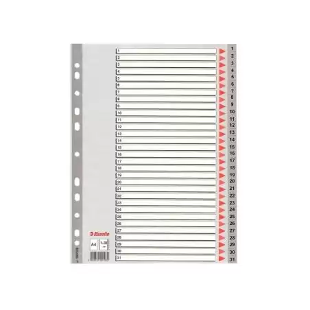 (100108) ESSELTE ÍNDICE NUMÉRICO MULTITALADRO 1-31 POLIPROPILENO A4 GRIS CON CARÁTULA ÍNDICE CARTÓN COLOR