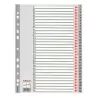 (100108) ESSELTE ÍNDICE NUMÉRICO MULTITALADRO 1-31 POLIPROPILENO A4 GRIS CON CARÁTULA ÍNDICE CARTÓN COLOR