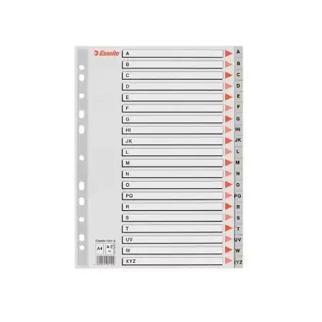 (100112) ESSELTE ABECEDARIO SEPARADOR MULTITALADRO A-Z  POLIPROPILENO A4 GRIS CON CARÁTULA ÍNDICE CARTÓN COLOR