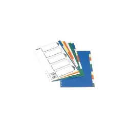 (11709) ESSELTE SEPARADORES 5 POSICIONES A4 PP COLORES CON CARÁTULA ÍNDICE CARTÓN BLANCO / NEGRO