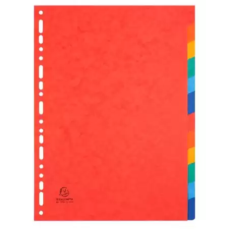 (1412E) EXACOMPTA SEPARADORES NATURE FUTURE CARTULINA LUSTRADA 225GR 12 POSICIONES A4 COLORES